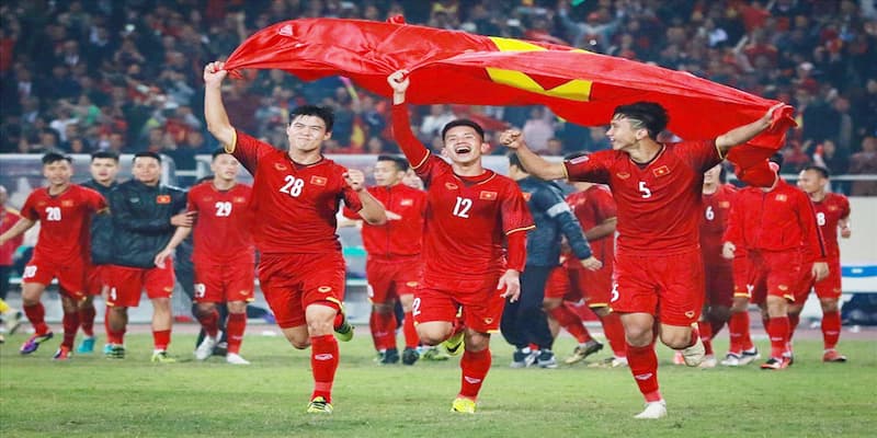 Kết quả bóng đá việt nam Nguồn tin chính thống và độ tin cậy cao